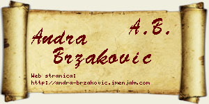 Andra Brzaković vizit kartica